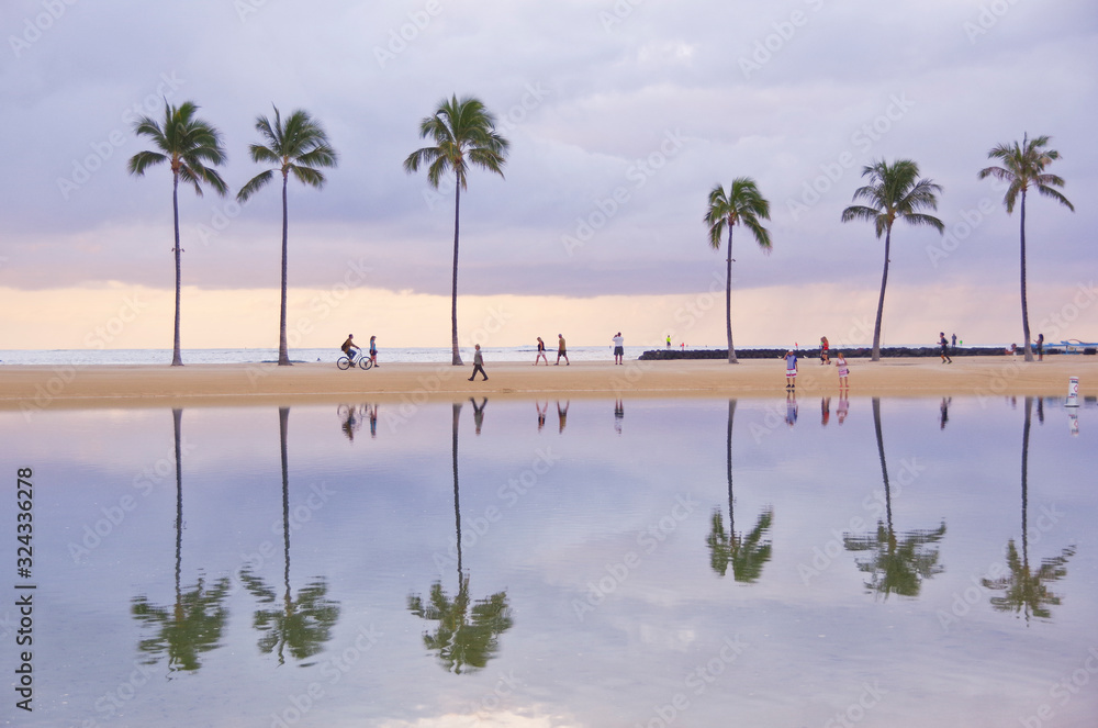 Palm trees reflected in the Hilton Lagoon, Honolulu. Hi