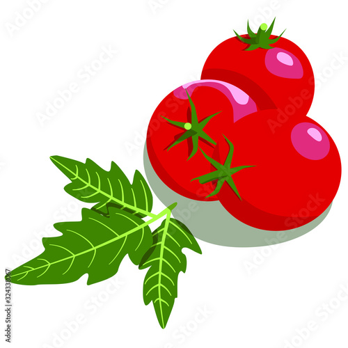 Three tomatoes with leaves on a white background
