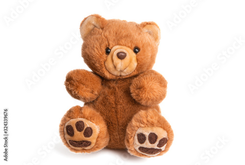 Fotografia teddy bear soft toy isolated