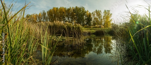 Photography nature in city, bratislava, slovakia