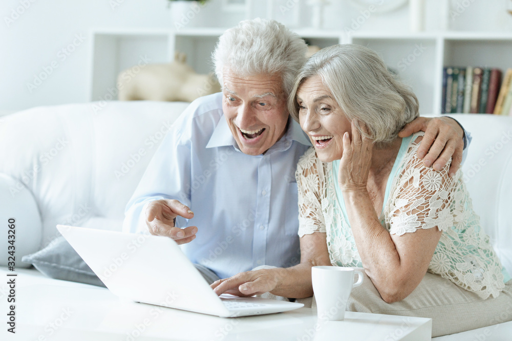 Happy senior couple with laptop at home