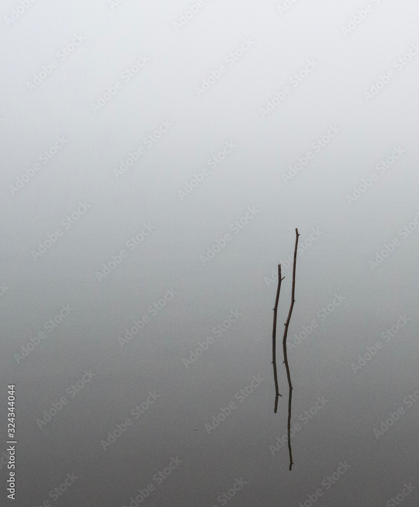 Fototapeta premium sticks