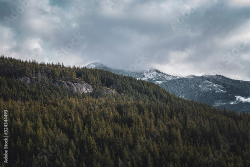 A moody landscape captured in the deep mountains of the Pacific Northwest. Hazy clouds swirl overhead revealing a misty snow capped peak in the distance. Evokes the emotions of serenity and solitude.