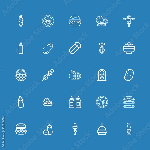 Editable 25 tomato icons for web and mobile