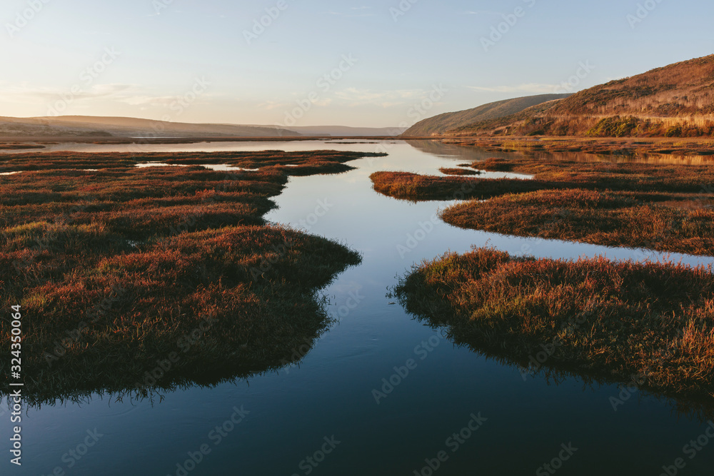 Intertidal estuary with water channels at dusk,Drakes Estero, Point Reyes National Seashore Intertidal estuary with water channels at dusk,Drakes Estero, Point Reyes National Seashore
