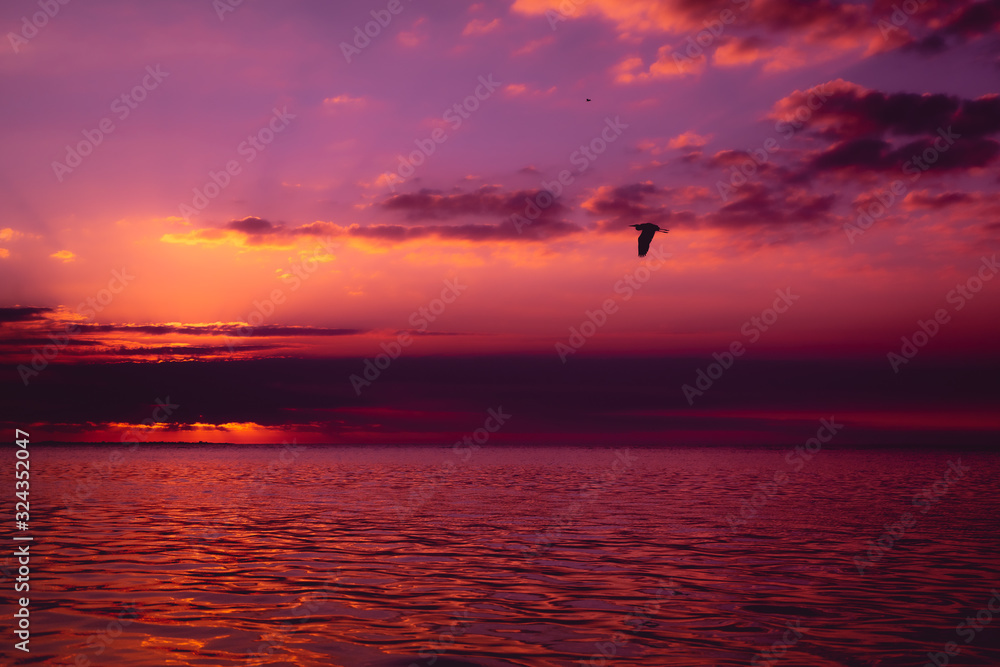 Naklejka premium sunset over sea