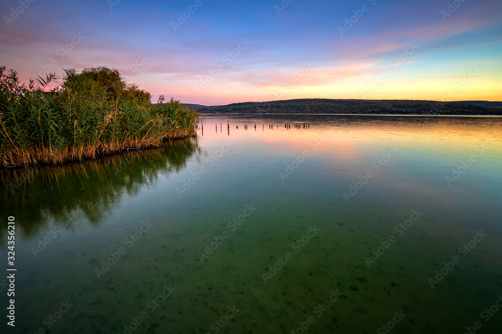 Calm lakeside at sunset with natural vegetation on the water.