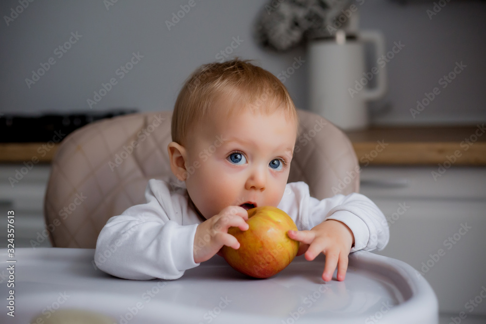 baby boy 7 months old sitting in a high chair in the kitchen and eating an Apple baby boy 7 months old sitting in a high chair in the kitchen and eating an Apple