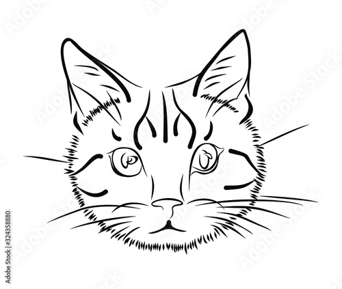  Sketch of a purebred cat