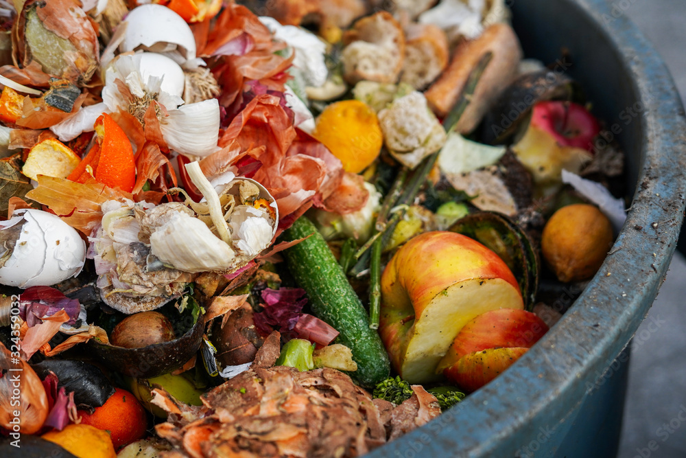 Fruits and vegetables in a compost bin Fruits and vegetables in a compost bin