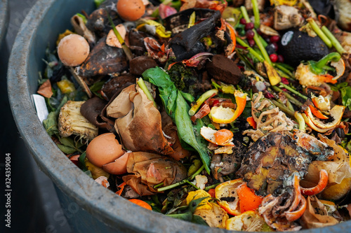 Fruits and vegetables in a compost bin