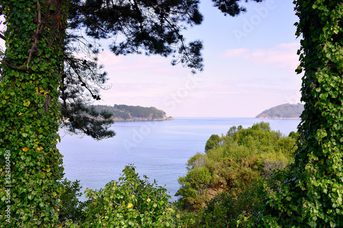 Trees on the beach of Sacido  in Viveiro  Lugo  Galicia. Spain. Europe. October 05  2019