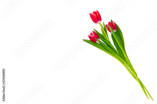 Fototapeta Naklejka Na Ścianę i Meble -  spring colorful flowers tulips. nature