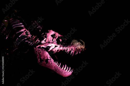 T-Rex esqueleto © Raul
