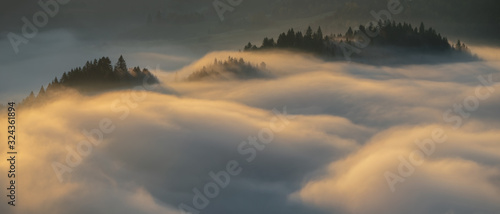 Pieniny hills fog