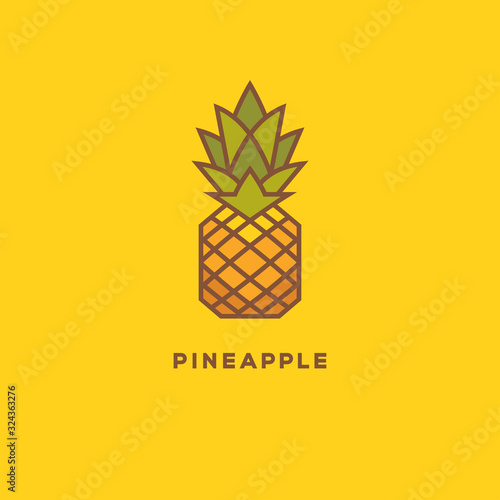 Bright colorful pineapple geometric logo.