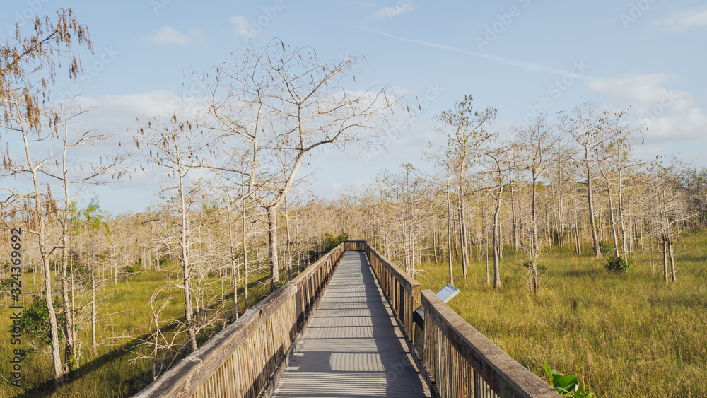 Boardwalk in Everglades National Park in south Florida.