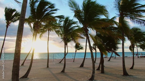 Fototapeta Naklejka Na Ścianę i Meble -  Turquoise ocean, white sand and palm trees on tropical beach in Punta Cana, Dominican Republic