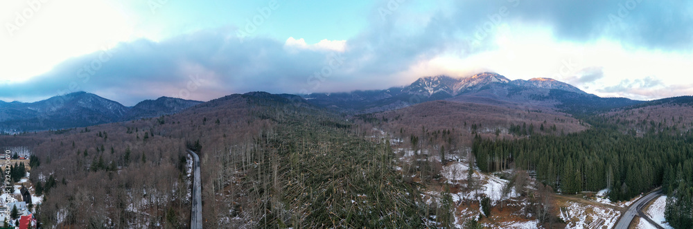 Aerial drone 180 degrees panorama showing hundreds of fir trees torn up by their roots, razed to the ground, by a severe wind storm in Ciucas Mountains, Romania. Severe storms have hit Europe early in Aerial drone 180 degrees panorama showing hundreds of fir trees torn up by their roots, razed to the ground, by a severe wind storm in Ciucas Mountains, Romania. Severe storms have hit Europe early in