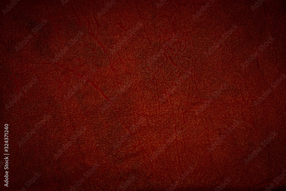 Fototapeta premium The texture is orange - red skin. Background