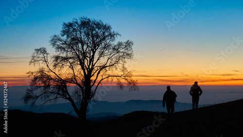 two people walking during sunset with beautiful album nearby