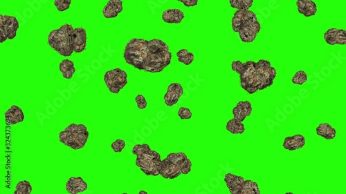 rain weed joint smoker cannabis flowers buds  marijuana herbal drug falling green screen animation 3d 