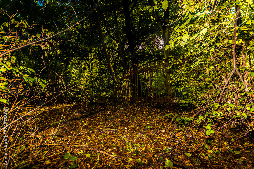 Dortmund vergessener Friedhof Dortmund vergessener Friedhof
