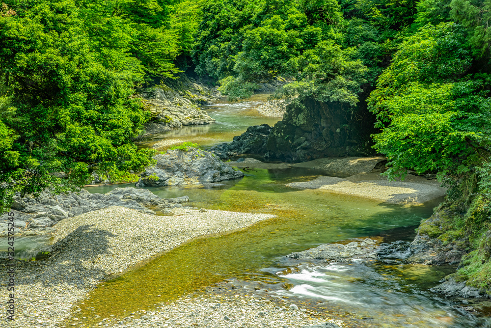 Obraz premium バックグラウンド・山奥の渓谷