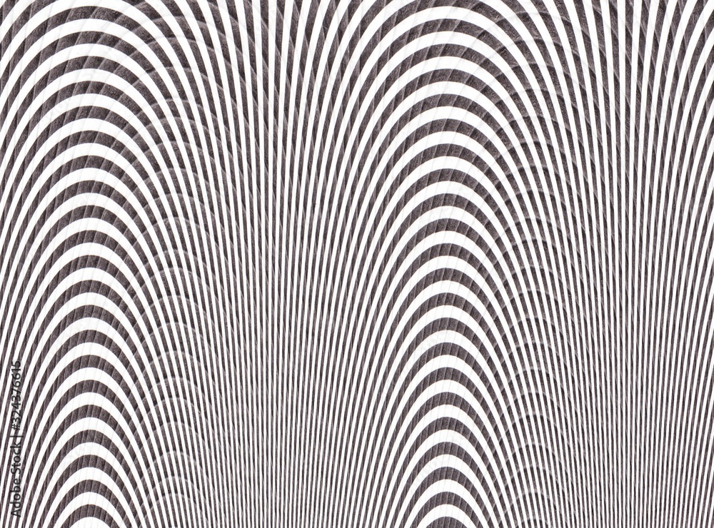 Psychedelic curved lines in black and white