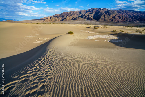 mesquite flat sand dunes in death valley  california  usa