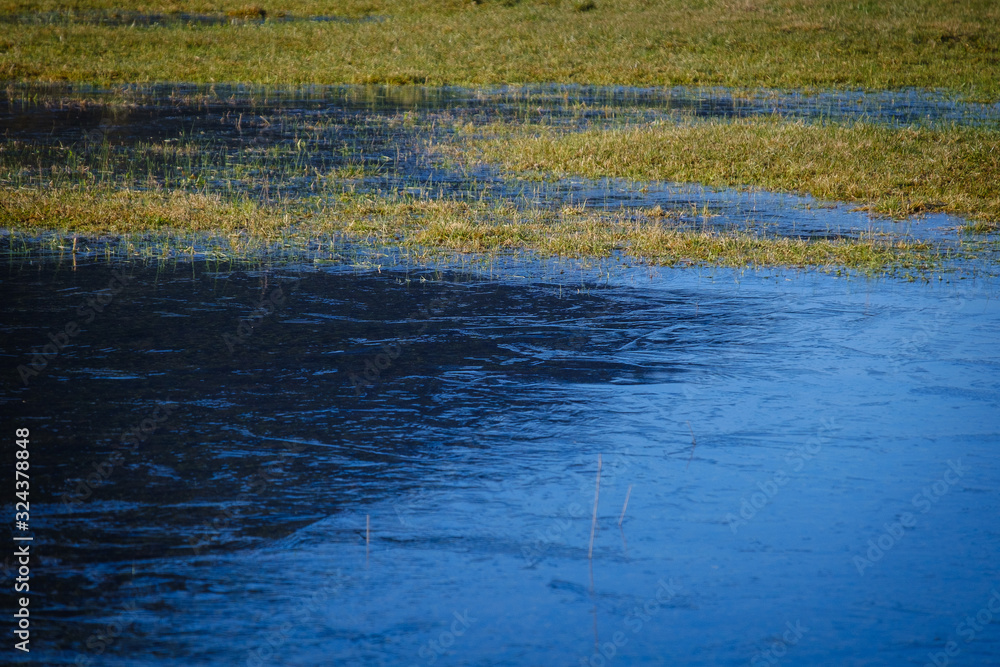 Blue Planina lake spilled over the fileds