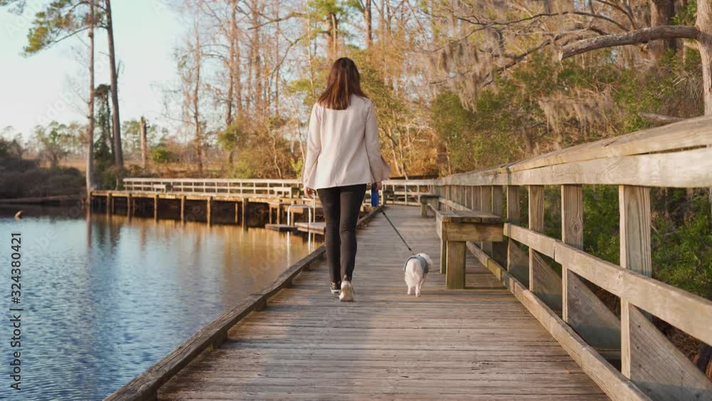 Attractive woman walking her dog on the boardwalk by water during golden hour Attractive woman walking her dog on the boardwalk by water during golden hour