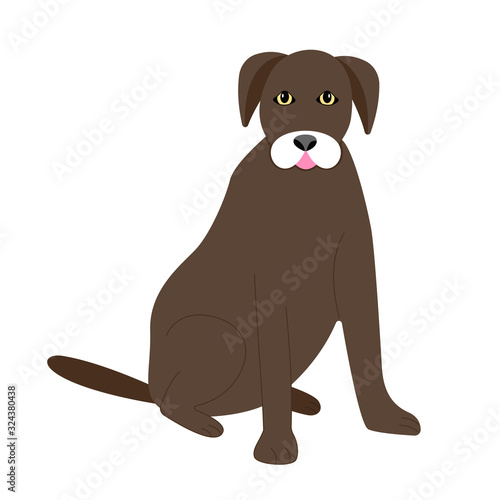 Vector illustration of a chocolate labrador with a friendly face.