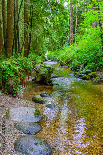 Majestic mountain river in Canada. Traboulay Port Coquitlam Park. Vancouver. photo