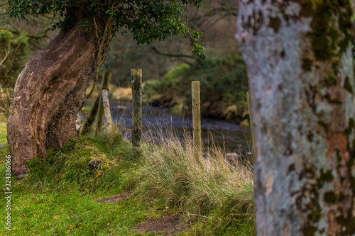 Glendalough Trail