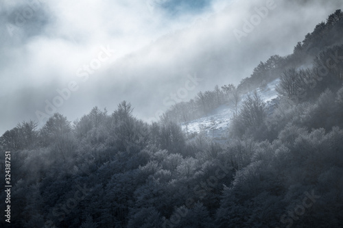 winter mountain landscape with frosty forest