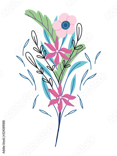 flowers foliage plants herb wild botany