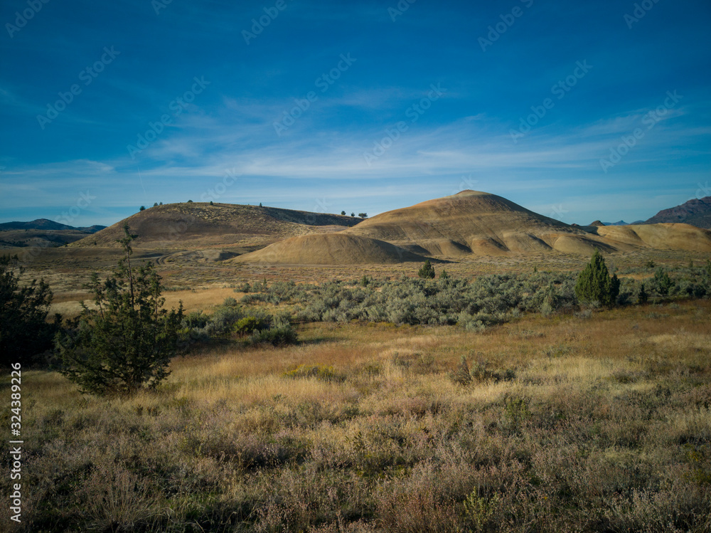 Pyramid shaped mounds in a semi desert environment with bushes grass and weeds in the John Day Fossil Beds Painted Hills Unit in Mitchell Oregon.