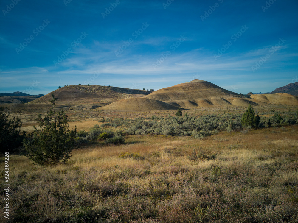 Pyramid shaped mounds in a semi desert environment with bushes grass and weeds in the John Day Fossil Beds Painted Hills Unit in Mitchell Oregon. Pyramid shaped mounds in a semi desert environment with bushes grass and weeds in the John Day Fossil Beds Painted Hills Unit in Mitchell Oregon.