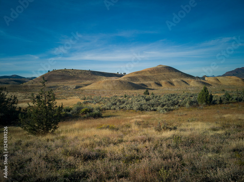 Pyramid shaped mounds in a semi desert environment with bushes grass and weeds in the John Day Fossil Beds Painted Hills Unit in Mitchell Oregon.