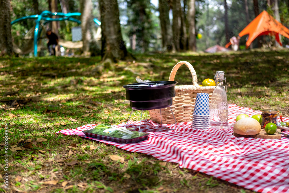 Wicker basket on red checkered tablecloth with fruits and organic food on grass, vegan picnic with healthy food in park outside at summer day Wicker basket on red checkered tablecloth with fruits and organic food on grass, vegan picnic with healthy food in park outside at summer day