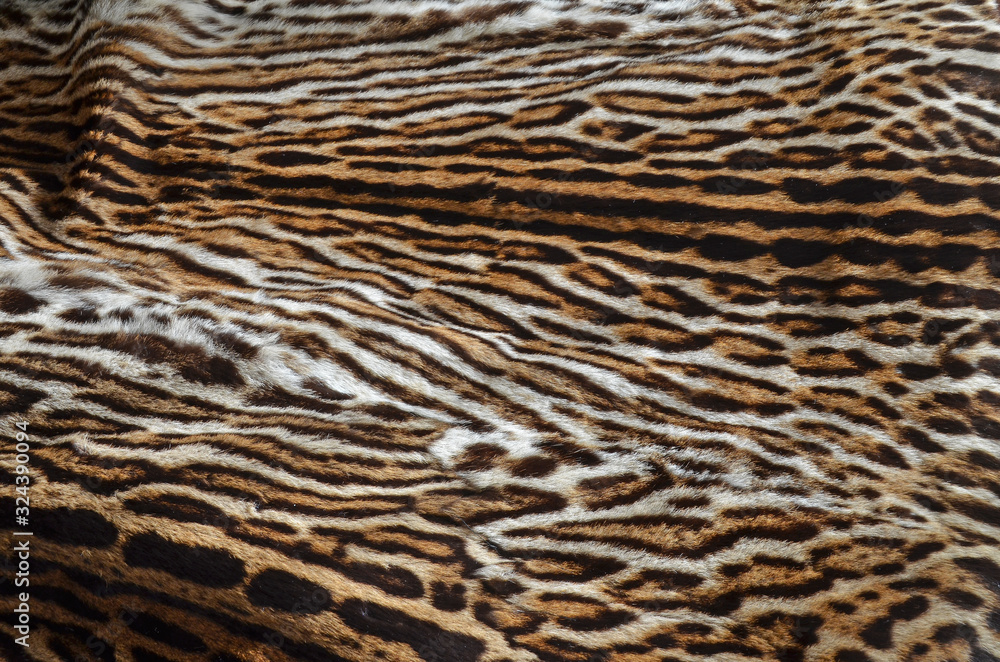 leopard fur coat background texture leopard fur coat background texture