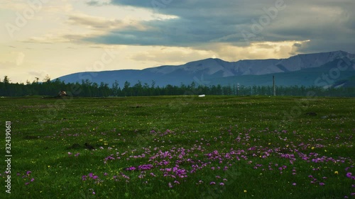 Timelapse of pasture in Mongolia near Khuvsgul lake beautiful light photo