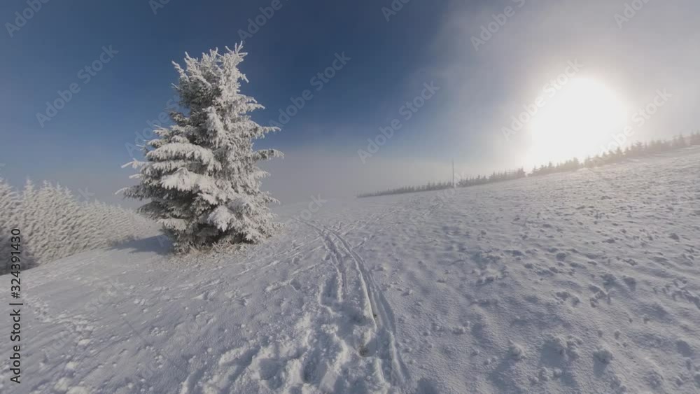 Panoramic View of Winter Ski Slope and Trees Covered in Snow on Sunny Day Panoramic View of Winter Ski Slope and Trees Covered in Snow on Sunny Day