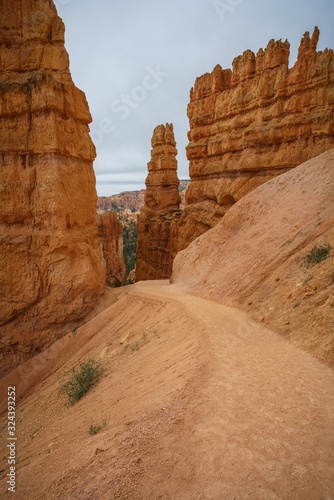 hiking the navajo loop in bryce canyon national park in utah in the usa