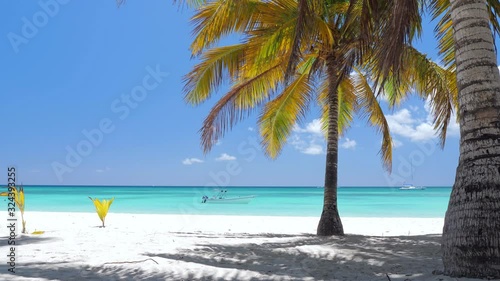 Coconut palm trees on white sandy shore on caribbean island. Travel destinations. Summer vacations photo