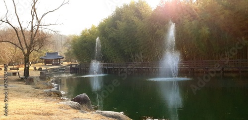 Damyang Bamboo Garden (South Korea)