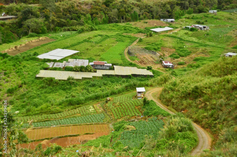 A farm land at Kundasang, Sabah.