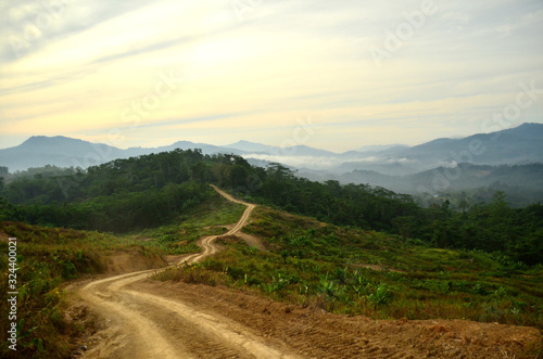 A muddy road that connected to the forest, Sabah.