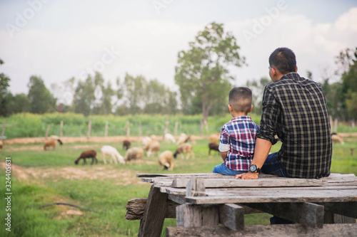 Foto Family looking at sheep in field
